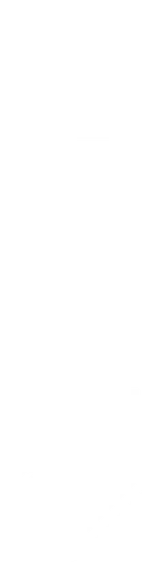 Psithur Logo